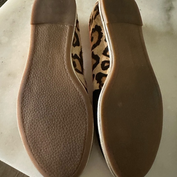 Zebra Cheetah Animal Print Fabric - Picture 4 of 7